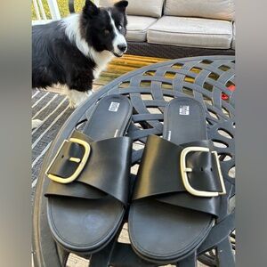 Fitflop Womens size 11 Black Sandals silver Buckles Border Collie not included